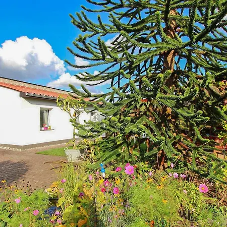 Holiday home Garz Auf Ruegen Garz (Rugen)
